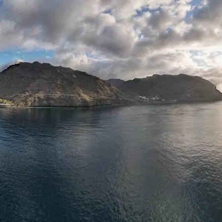 En Playa Chica, Gaviotas