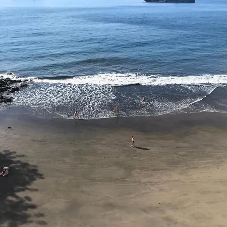 En Playa Chica, Gaviotas *