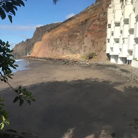 En Playa Chica, Gaviotas Santa Cruz de Tenerife