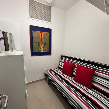 En Playa Chica, Gaviotas * Santa Cruz de Tenerife