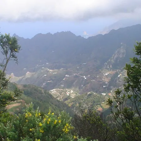En Playa Chica, Gaviotas *