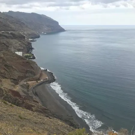 En Playa Chica, Gaviotas
